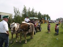 Schützenfest 2007